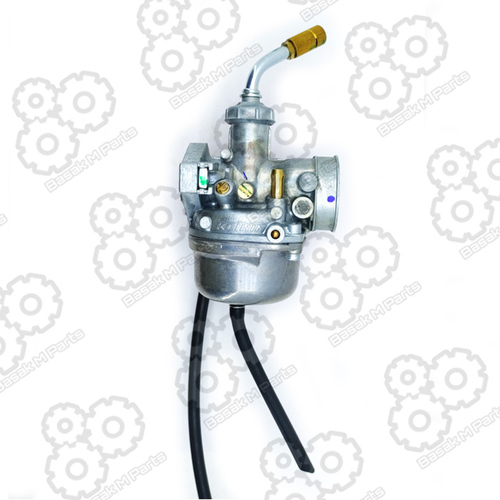 CARBURETTOR PLATINA 100